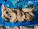 鲜京采 厄瓜多尔白虾 净重3斤/盒 特大号20-30规格   30-45只/盒 实拍图