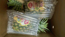 佳农 黑钻菠萝1粒装 菲律宾凤梨 净重2斤起 生鲜水果 源头直发 包邮 实拍图