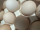 京鲜生可生食标准鲜鸡蛋30枚礼盒装3斤 源头直发 实拍图