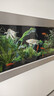 欧庭 壁挂金鱼缸生态大中型客厅居家观赏玻璃水族箱创意挂墙长方形 150x15x55/cm 实拍图