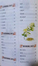 国医绝学百日通系列——手足按摩治百病等 阅读狂欢节 KBCT 【超值】土单方 实拍图
