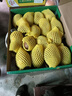 佳沛（zespri）新西兰 阳光金奇异果12粒礼盒特大果单果约122-146g 猕猴桃 水果 实拍图