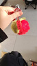 仿獭兔毛小柿子可爱书包包挂件毛绒球玩偶公仔汽车钥匙扣挂饰礼物 1个装【柿柿如意挂件】 1个装 实拍图