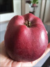 顺丰可选黑卡苹果黑钻苹果5斤纯甜孕妇小孩黑色苹果新鲜水果整箱M 3斤【普邮】 实拍图