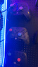 魔派赤兔2空气摇杆游戏手柄switch2手柄switch手柄ns2手柄pro原装二代游戏机手柄pc蓝牙体感礼物 粉 实拍图