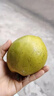 优味集【JD顺丰】蛋黄果鸡蛋果新鲜面包果热带水果生鲜云南特产狮头果 净重500g精品大果（单果100-150g） 实拍图