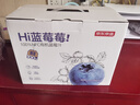 京东京造100%NFC有机蓝莓汁180g*12精制礼盒0脂0添加糖纯果汁花青素饮料箱 实拍图