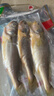 三都港 冷冻三去黄花鱼500g/3条装 小黄鱼 深海鱼 生鲜鱼类 海鲜 年货 实拍图