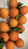 京鲜生 四川爱媛38号果冻橙 净重8.5-9斤 单果210g+ 源头直发包邮 实拍图