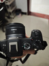 佳能（Canon）佳能R8 全画幅微单数码相机 4K视频高清直播 RF501.8小痰盂人像镜头 旅行家用照相机 扫街旅拍套装 实拍图