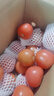 新鲜沙瓤大番茄生吃西红柿减肥早餐即食新鲜蔬菜生鲜单果＞100g 家庭装 4斤 带箱 实拍图