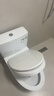 TOTO马桶CW817REB节水连体卫生间冲落式主体陶瓷智洁座便器(04-A) CW817【极漩式冲水】 305坑距 实拍图