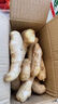 山东新鲜大姜超市生鲜蔬菜老姜即食水果生姜水洗净姜 山东大姜250g 实拍图