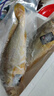 鸿顺深海野化黄花鱼1200g/2条 宁德大黄鱼 冷冻海鲜 礼盒 源头直发 实拍图
