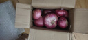 山东特产水果扁洋葱甜瓜口感红皮扁葱头生吃脆甜蘸酱好吃粉嫩 紫皮洋葱大果带箱 4斤 精选 实拍图