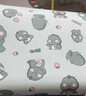 洁丽雅（Grace）儿童记忆棉枕头枕芯宝宝幼儿园午睡枕恐龙44*27cm 实拍图