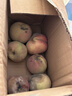 京喜加山东青州蜜桃青皮桃子当季现摘脆桃新鲜甜桃冬桃蜜桃小果-沐真 带箱3斤 实拍图