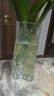 墨斗鱼冰川透明玻璃花瓶简约轻奢桌面摆件鲜花插花生日礼物元旦送礼物 实拍图