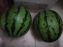京鲜生 无籽麒麟西瓜 1粒装 单果5-7斤 生鲜水果 实拍图
