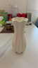 京东鲜花简约陶瓷花瓶电视柜桌面摆件家居饰品客厅插花干花鲜花水养高级感 实拍图