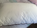 水星家纺枕头枕芯酒店枕头护颈枕头芯家用单个纯棉抗菌可水洗中枕48x74cm 实拍图
