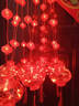 嘉德朗新年装饰彩灯氛围灯带红灯笼串灯led福字灯串春节过年阳台窗帘灯 3米110灯 8种闪灯+可串联尾插 实拍图