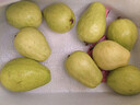 京觅福建芭乐 白心芭乐 土番石榴单果150g 4.5斤装 实拍图