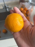 正宗无籽蜜橘酸甜可口新鲜薄皮蜜桔当季早熟水果 带箱2斤装 实拍图