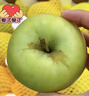 京地达新疆阿克苏王林苹果青苹果净重5斤单果180g新鲜苹果源头直发包邮 实拍图