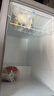 澳柯玛（AUCMA）208升单温冷柜家用减霜冰柜冷藏柜冷冻柜小型冷柜卧式顶开门冰箱一级能效 BC/BD-208HNE 以旧换新 实拍图