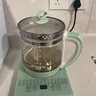 养生壶烧水壶热水壶恒温壶养生烧水壶煮茶壶煮茶器泡茶壶一体机全自动玻璃保温小家用 绿色 1.8L 养生壶 实拍图