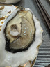 吉娜朵鲜活法国进口活体生蚝12只N0/N1空运生鲜牡蛎 即食刺身 源头直发 12N1 实拍图