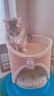 兽牌树洞剑麻桶猫窝猫抓板一体剑麻猫爬架双层大猫屋半封闭式冬季保暖 砂砾灰丨双层剑麻桶 实拍图