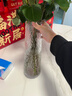 吕姆克花瓶玻璃透明花瓶大号摆件花器租房玄关卧室干花插花瓶高30CM5067 实拍图