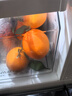 农夫山泉 17.5°橙 赣南地区脐橙/橙子6斤装 钻石果 生鲜水果年货礼盒 实拍图