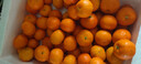 京鲜生 正宗广西砂糖橘净重4.5斤 单果35-55mm 精品果 源头直发包邮 实拍图