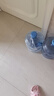 极度空间纯净水桶矿泉水桶饮水桶PET水桶空桶装水饮水机储水桶手提户外桶茶水桶茶吧桶7.5L 实拍图