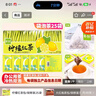 艺佰原叶柠檬红茶水果茶包袋泡茶锁鲜独立小袋办公茶下午茶25袋/75g 实拍图