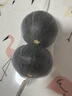 家美舒达 山东 贝贝南瓜 板栗小南瓜 0.8-1.2斤 出口级 新鲜蔬菜 实拍图