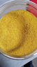 赤川敖汉黄小米5斤 25年新米金苗K1 内蒙古赤峰小米粥杂粮粥黄小米 实拍图