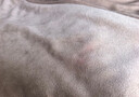 皇冠牛奶绒床单单件1.8x2.3米床学生宿舍单人冬季加厚加绒被单毛毯子 实拍图