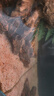 画法几何鱼缸造景 小型鱼缸米家智能鱼缸专用蕨类沉木造景套餐 实拍图