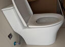 九牧（JOMOO）马桶 家用虹吸式马桶大冲力节水坐便器 防臭瞬冲 易洁抗菌马桶 行业爆款-双旋暴风冲11370-400坑 实拍图