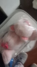 名创优品（MINISO）福莉丝猪系列趴姿公仔毛绒玩具玩偶抱枕娃娃生日礼物女 实拍图