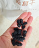 陈一凡桑葚干精选大果500g 新疆黑桑椹果干 干吃即食泡水喝的花草茶袋装 实拍图
