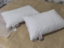 洁丽雅（Grace）纤维枕星级酒店枕头枕芯46*72cm一对装（2只装） 实拍图