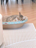 京东京造 客厅地毯 卧室现代简约北欧轻奢防滑茶几毯 大地-160*230cm 实拍图