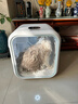 霍曼宠物智能烘干箱宠物烘干机猫咪自动吹干箱狗狗洗澡吹风机家用 实拍图