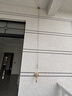 金贵夫人双杆晾衣架手摇式阳台升降晾衣杆家用晒衣架晒被子手动室内凉衣架 【加厚航空铝大方杆】香槟金2.7米 实拍图