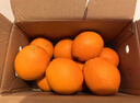 集年鲜赣南脐橙手剥甜橙子新鲜现摘生鲜水果整箱节日送礼 含箱10斤净重9斤优选果（单果160-280g) 实拍图